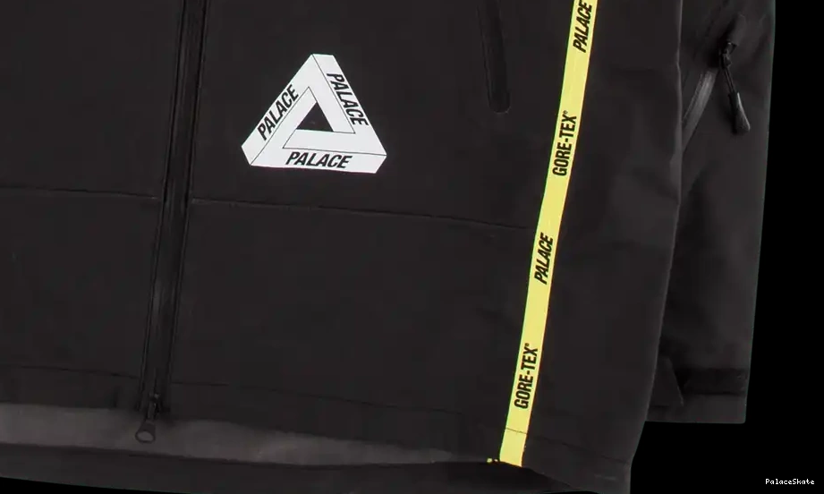 Palace Jacket Palex Gore-Tex 0617